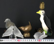 Thème OISEAUX - Sarreguemines - Petit oi
