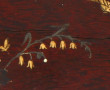 Coffret début Xxème, daté 29 avril 1909,