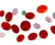 Lot de pierres en cabochon : une turquoi