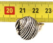 TOULHOAT - Bague 3 coquillages en argent