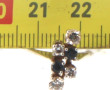 Bague en or 18 carats, poinçon tête d'ai
