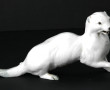 Hermine en porcelaine, L 20 cm (un petit