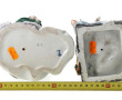 Paire de statuettes en porcelaine polych