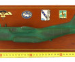 Souvenir militaire TRANSALL C160H ASTART