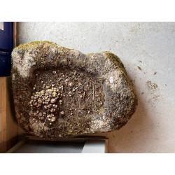Auge sortie du jardin 44 x 33 x 17 cm