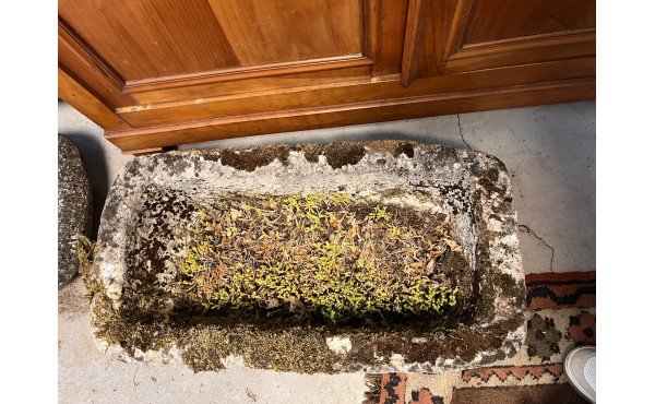 Auge sortie du jardin 72 x 39x 23 cm