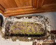 Auge sortie du jardin 72 x 39x 23 cm