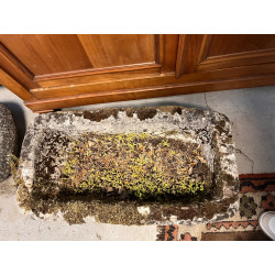 Auge sortie du jardin 72 x 39x 23 cm