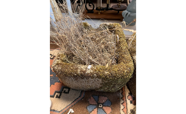Auge sortie du jardin 50 x 38x 23 cm
