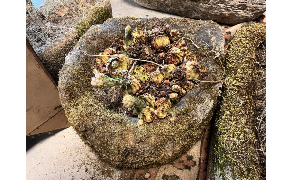 Auge sortie du jardin 40 x 40x 21 cm