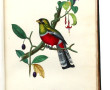 EMM. LEMAOUT "Le Jardin des Plantes", Mu