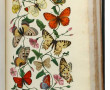 EMM. LEMAOUT "Le Jardin des Plantes", Mu