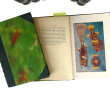 D. Louis MOULE "Les poissons", 10 volume