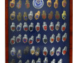 51 insignes de la Gendarmerie dans une v