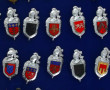 51 insignes de la Gendarmerie dans une v