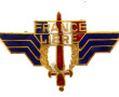 FFL - Insigne de la France Libre matricu