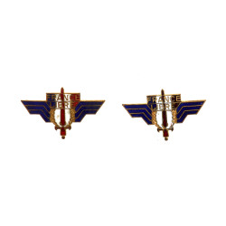 FFL - Lot de 2 insignes de la France Lib