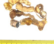 Lot d'or dentaire, poids 18,70 grs, plus