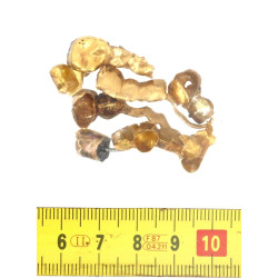 Lot d'or dentaire, poids 18,70 grs, plus