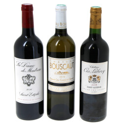 Lot de 3 bouteilles: 1 B LA DAME DE MONT