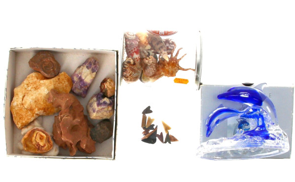 Lot comprenant qq coquillages, minéraux,