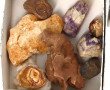 Lot comprenant qq coquillages, minéraux,