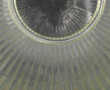 Globe en verre diam 26 cm
