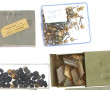 MILITARIA - Lot ancien de boutons divers