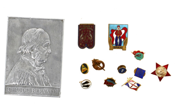Lot d'insignes dont insigne de spahi, pl