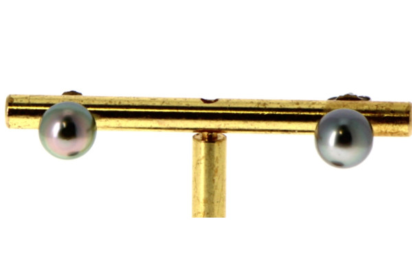 Paire de puces d'oreilles en argent 925è