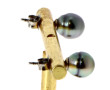 Paire de puces d'oreilles en argent 925è