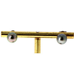 Paire de puces d'oreilles en argent 925è
