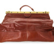 SALAMANDER - Sac de voyage en cuir fauve