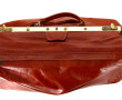 SALAMANDER - Sac de voyage en cuir fauve