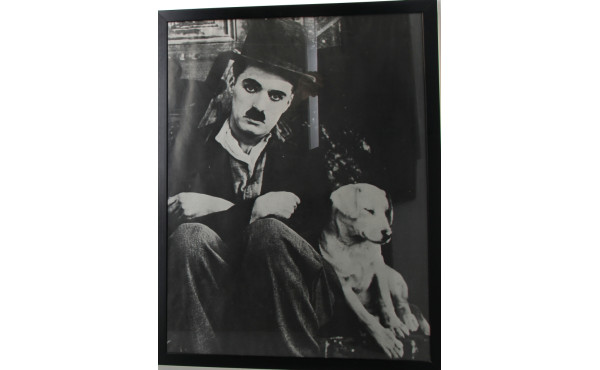 Lot de 3 affiches encadrées : ASSELIN : 
