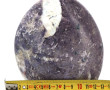 Forme libre en lépidolite polie et quart