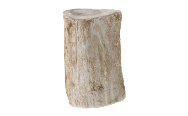Fragment de bois pétrifié, l'extérieur l