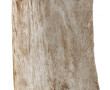 Fragment de bois pétrifié, l'extérieur l