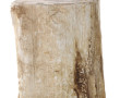 Fragment de bois pétrifié, l'extérieur l