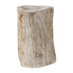 Fragment de bois pétrifié, l'extérieur l