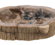 Belle coupe en bois pétrifié taillée dan