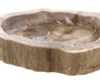 Belle coupe en bois pétrifié taillée dan