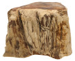 Fragment de bois pétrifié, probablement 