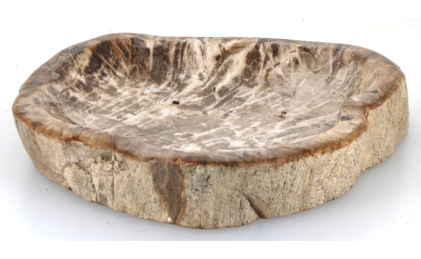 Importante coupe en bois pétrifié creusé