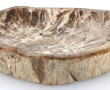 Importante coupe en bois pétrifié creusé