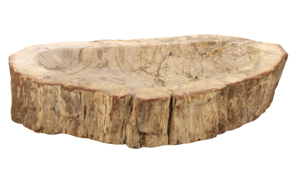 coupe en bois pétrifié creusée et polie,