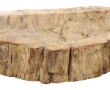 coupe en bois pétrifié creusée et polie,