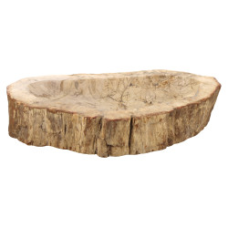 coupe en bois pétrifié creusée et polie,