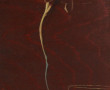 Marzio CHERUBINI (XIXè-XXè) "Fumée de ci