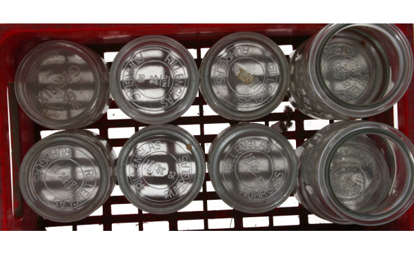 Lot de bocaux en verre